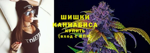 сатива Корсаков