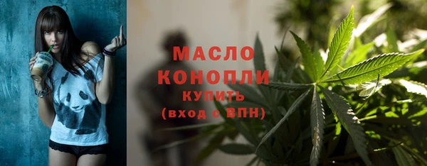 сатива Корсаков