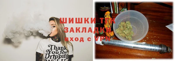 сатива Корсаков