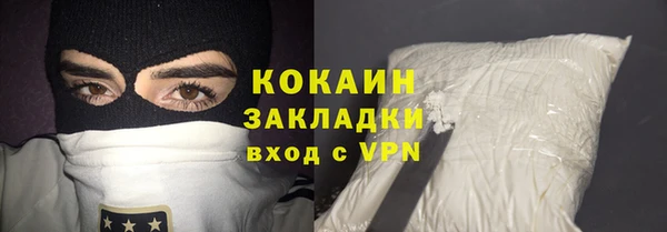 сатива Корсаков