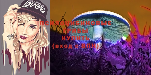 сатива Корсаков