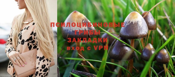 скорость Коряжма