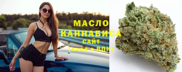 сатива Корсаков